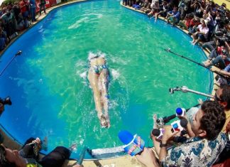 Reina del Festival: La madre de todas las coronas